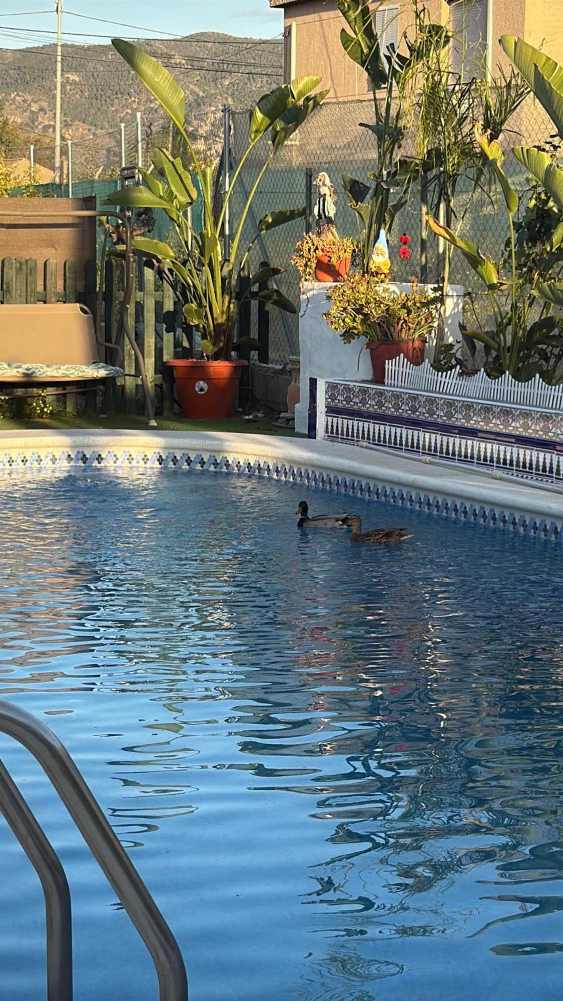 Casa Rural A 4Km De Murcia Con Piscina Y Spa Caliente Exterior foto